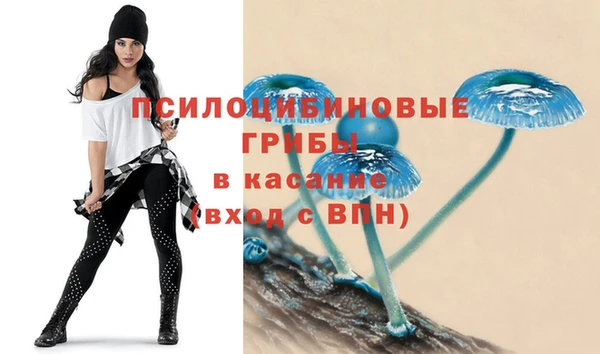 spice Белоозёрский