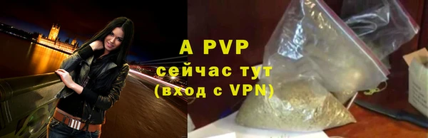 скорость Белокуриха