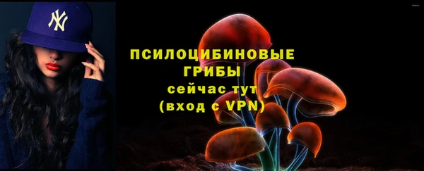 скорость Белокуриха